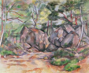 Bosque con rocas